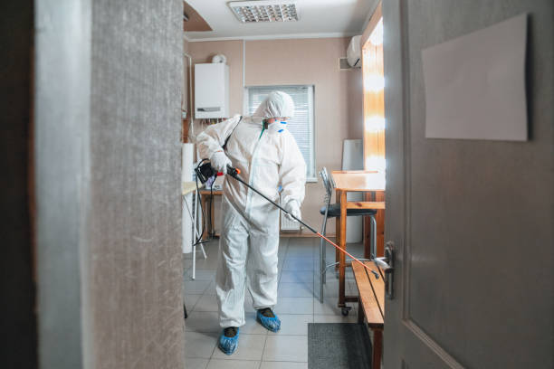 Best Mold Prevention Services  in Burlingame, CA